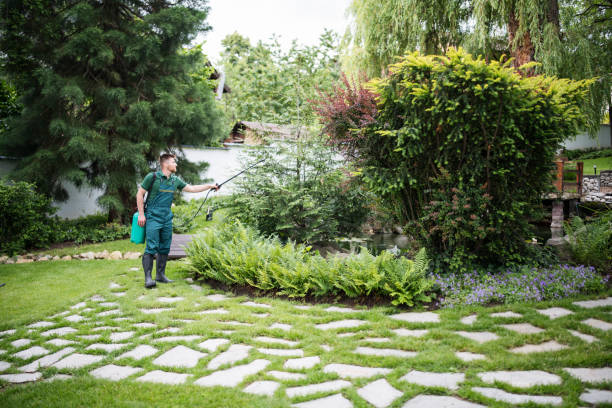 Best Affordable Pest Control Services  in Hildale, UT