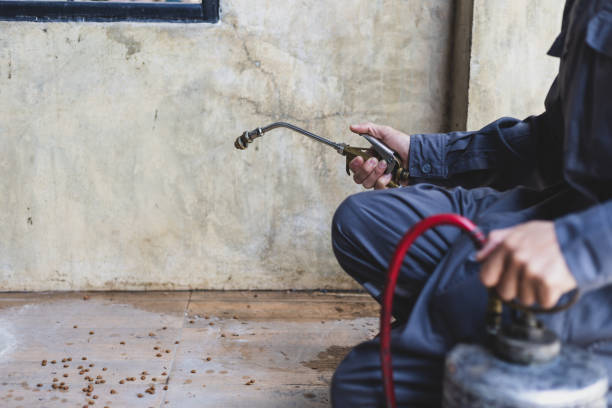 Best Pest Control Near Me in Hildale, UT